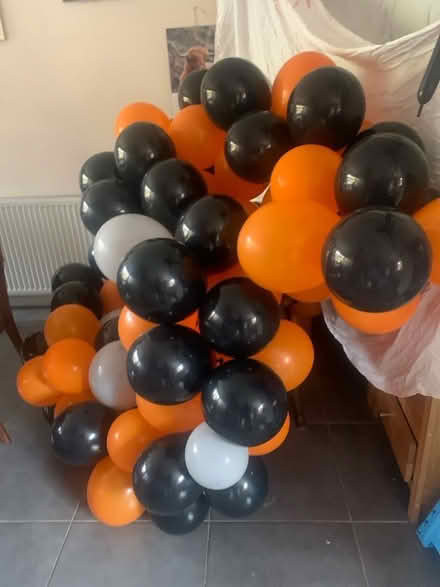 Photo of free Halloween ballon arch and spiders. (Hillingdon UB10) #2