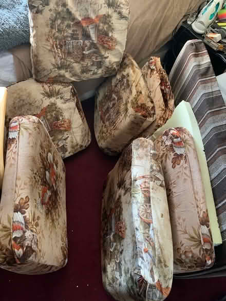 Photo of free Various foam cushions (Pendeen TR19) #3