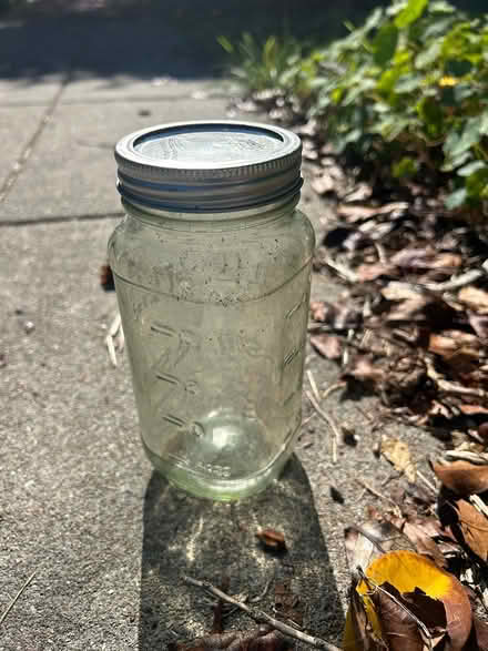 Photo of free Glass bottles (North Berkeley) #4