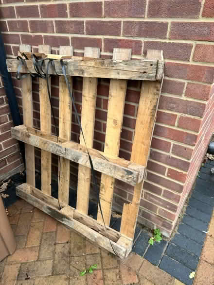 Photo of free Wooden pallet (Burpham, Guildford) #1