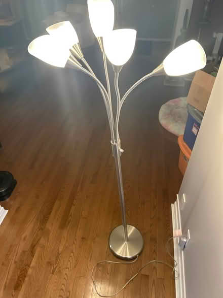 Photo of free Floor lamp (South Fallingbrook) #1