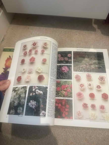 Photo of free Gardening books (Hanworth Park, TW13) #3