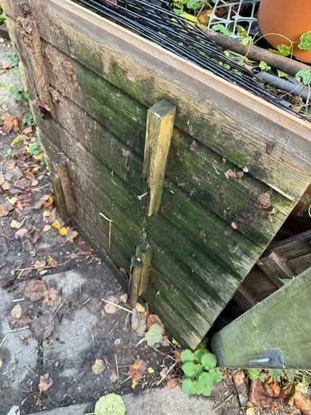 Photo of free Chicken coop (Swanley BR8) #4