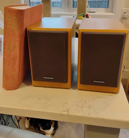 Photo of free Panasonic Mini Bookshelf Speakers (Barrhaven (Walter Baker Area)) #1