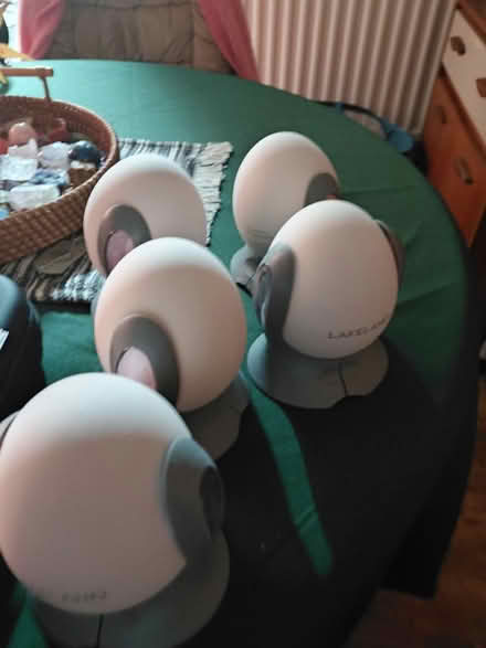 Photo of free Lakeland dehumidifier eggs (Rowner PO13) #1