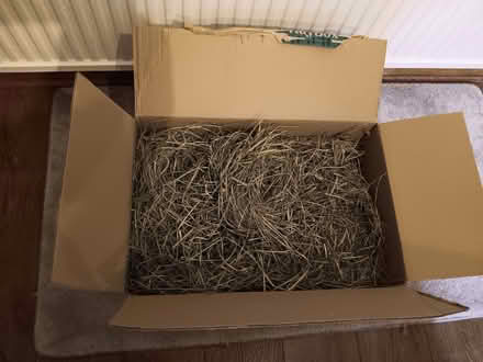 Photo of free High quality hay (Hook Heath GU22) #2