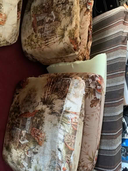Photo of free Various foam cushions (Pendeen TR19) #2