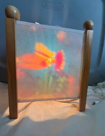 Photo of free 4 sided fish light (Ridley Park) #1