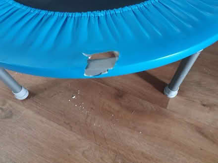 Photo of free Kids trampoline with handle bar (Bridlington YO16) #2