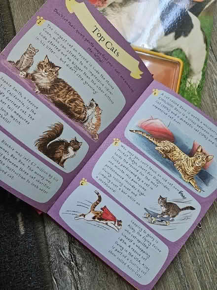 Photo of free Kids books (Perivale UB6) #3