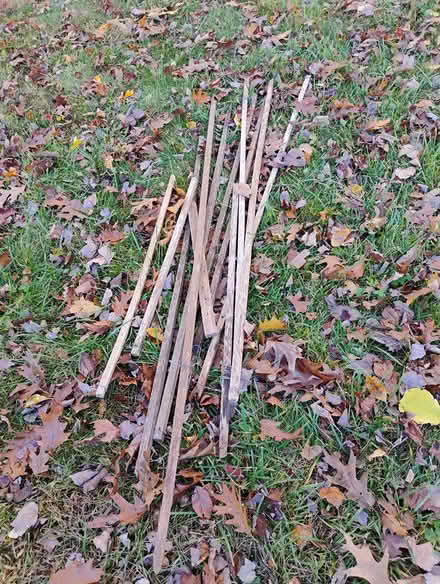 Photo of free Wooden poles (Acton) #1