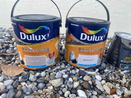 Photo of free Paint (Billericay) #1