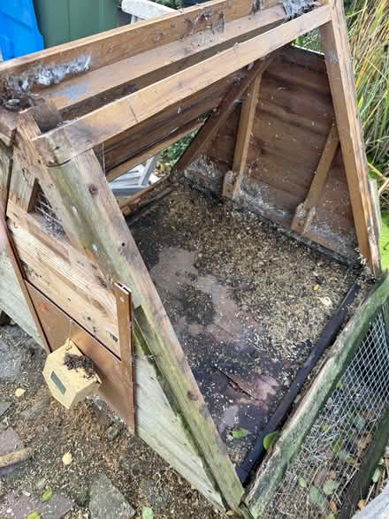 Photo of free Chicken coop (Swanley BR8) #2
