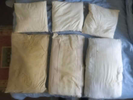 Photo of free Pillows and cushions (Liphook GU30) #1