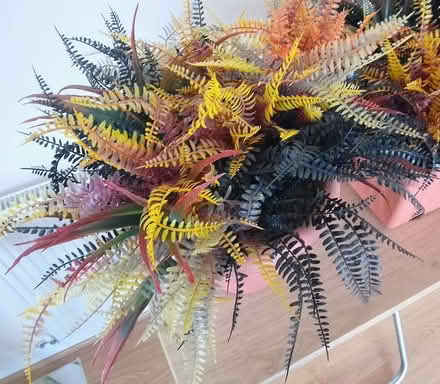 Photo of free 2 artificial plant arrangements (Stirling FK8) #3