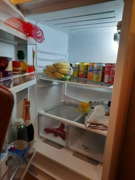 Photo of free Fridge freezer (Tyldesley M29 8) #2
