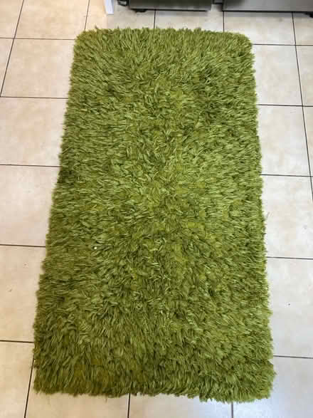 Photo of free Plush Green Rug (Bagillt CH6) #1