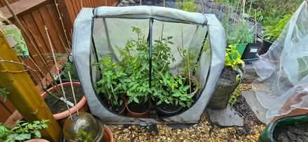 Photo of Growhouse (Warwickshire CV34) #1