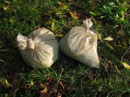 Photo of free Garden Lime and copper powder (Longley Green WR13) #1