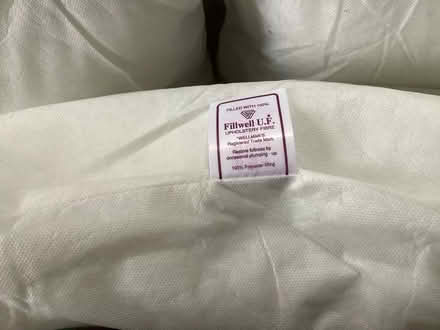 Photo of free Large cushion pads and covers (Bearwood BH11) #2