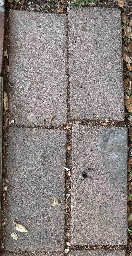 Photo of free Stepping stones (Old Mountain View) #4