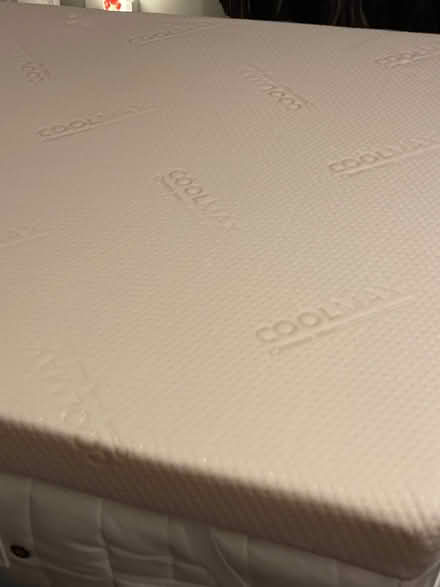 Photo of free Memory foam single mattress topper (Buckland TQ12) #2
