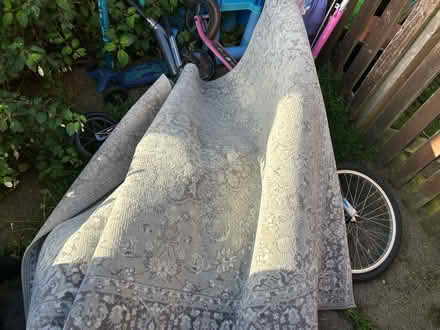 Photo of free Rug (Parkside SK7) #1