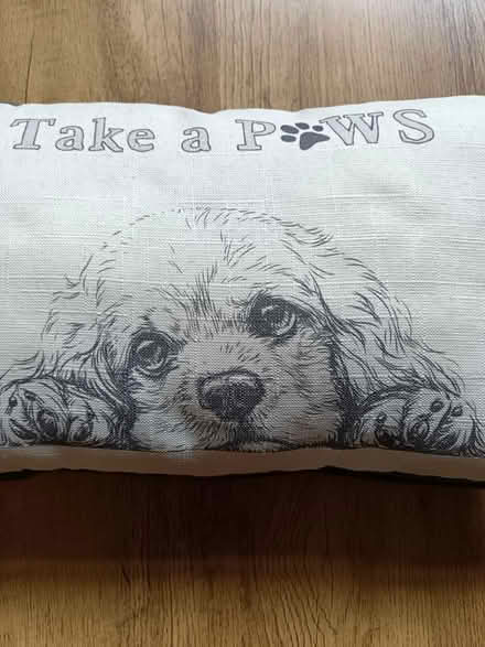 Photo of free Cushion (Pencoed CF35) #2