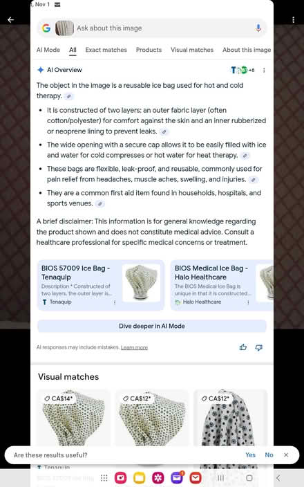 Photo of free Ice Bag #2 (Uplands / Riverside) #2