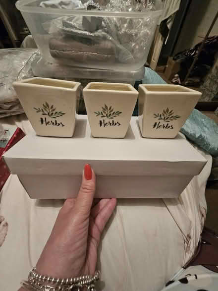 Photo of free Herbs pots (Ashton in Makerfield WN4) #2