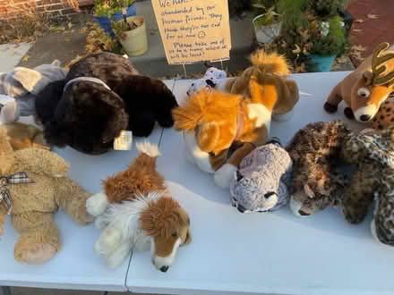 Photo of free Clean well-kept stuffed animals (Frederick, MD) #4
