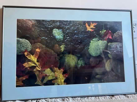 Photo of free framed art/posters (Newton Center) #2