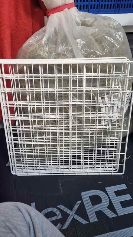 Photo of free C&C pen panels + correx (SW8 Vauxhall) #1