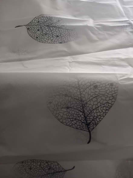 Photo of free Shower curtain (Mile Oak BN41) #2