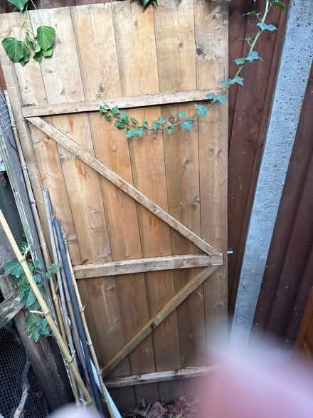 Photo of free Shed parts/fence. Door (Swanley BR8) #3