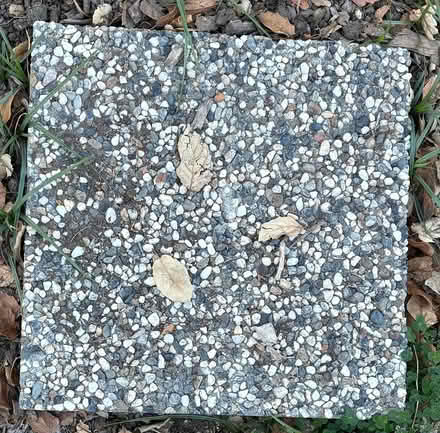 Photo of free Stepping stones (Old Mountain View) #3