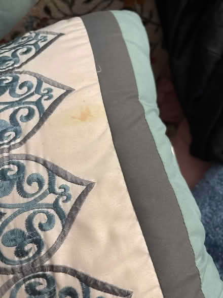 Photo of free 3 throw pillows (Hyattsville, MD) #2