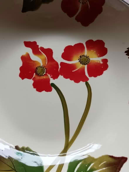 Photo of free China dish (Pencoed CF35) #3