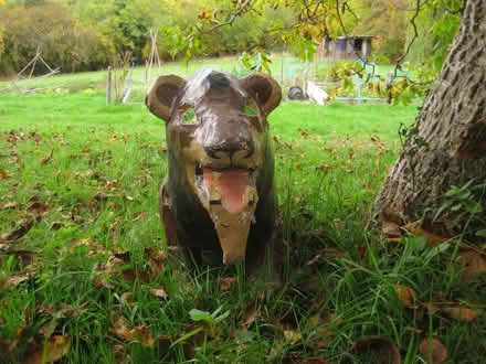 Photo of free SCAR THE LION in papier maché (Longley Green WR13) #3