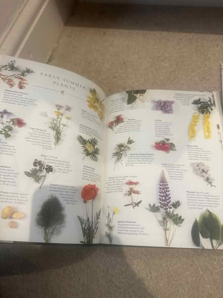 Photo of free Gardening book (Hanworth Park, TW13) #2