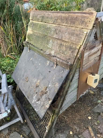 Photo of free Chicken coop (Swanley BR8) #1