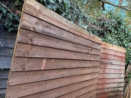 Photo of free Shed parts/fence. Door (Swanley BR8) #1