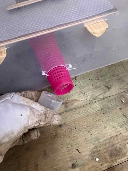 Photo of free Hamster cage home-made (kendal LA9) #4