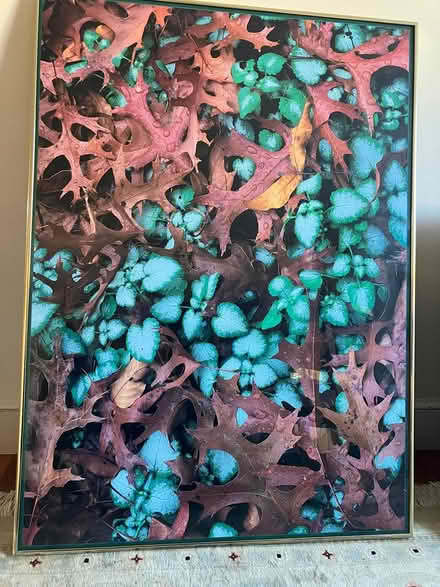 Photo of free framed art/posters (Newton Center) #3