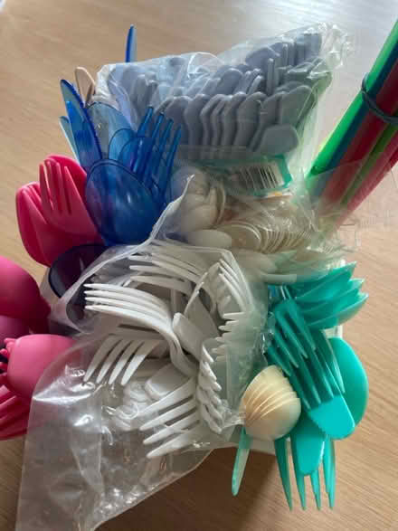 Photo of free Plastic cutlery and straws (Kingston st Mary) #2