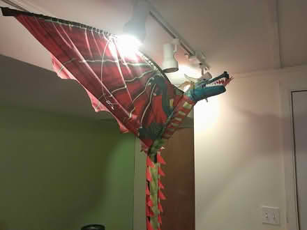 Photo of free Dragon and dinosaur kites (Wallingford) #3
