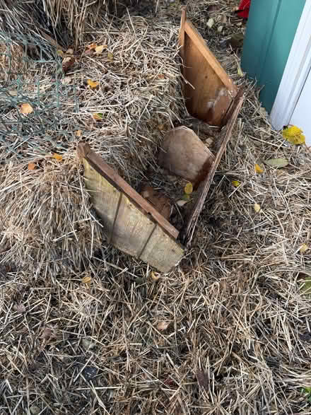 Photo of free Chicken coop (Swanley BR8) #3