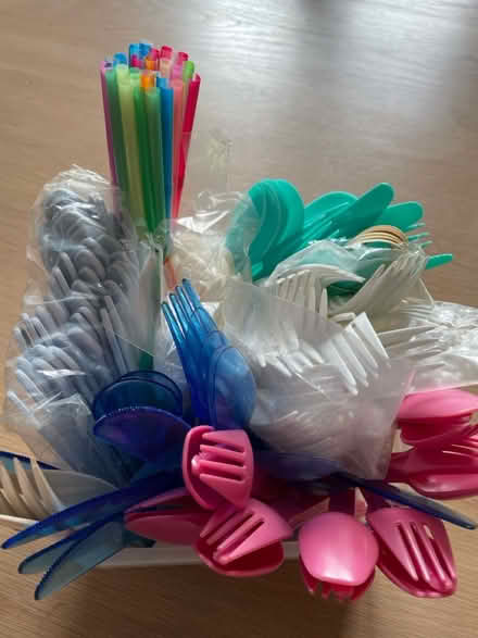Photo of free Plastic cutlery and straws (Kingston st Mary) #3