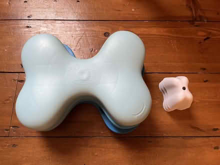 Photo of free Interactive dog toy/puzzle (Lower Weston) #1