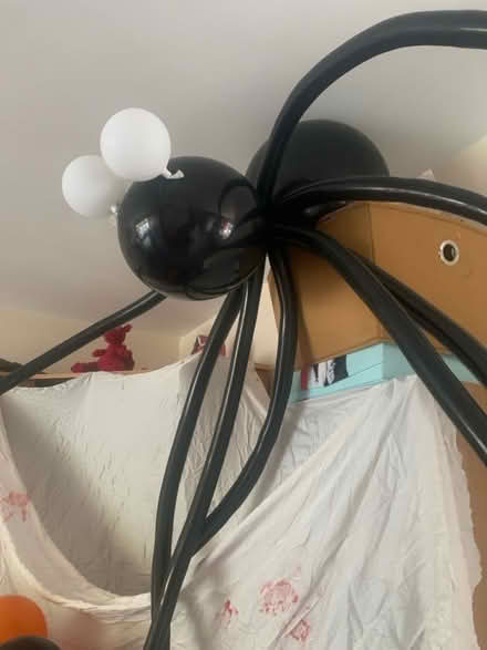 Photo of free Halloween ballon arch and spiders. (Hillingdon UB10) #1